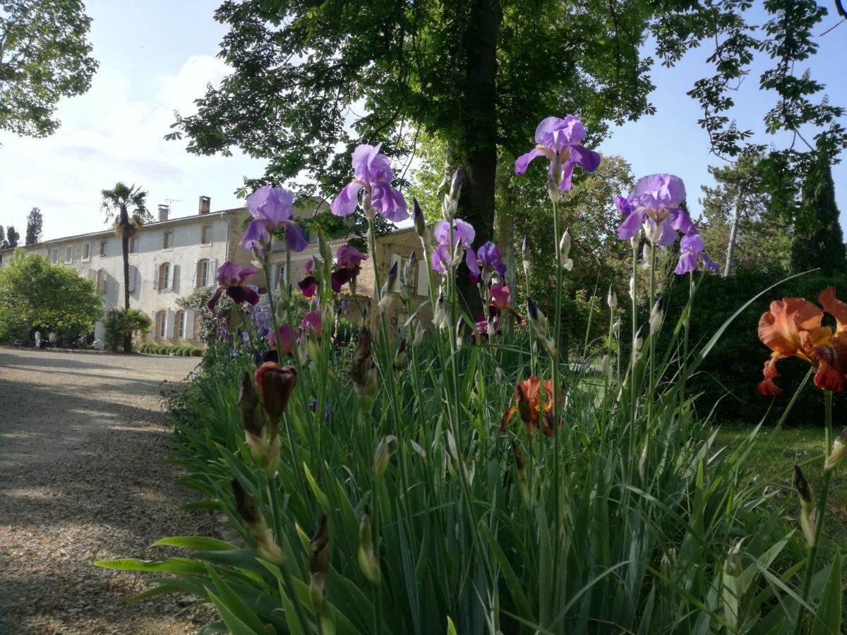 Bed and Breakfast Mon Petit Soulie Loupia Exterior foto